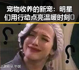 宠物收养的新宠：明星们用行动点亮温暖时刻✨