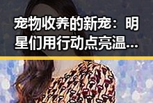 宠物收养的新宠：明星们用行动点亮温暖时刻✨