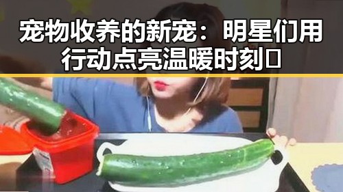 宠物收养的新宠：明星们用行动点亮温暖时刻✨