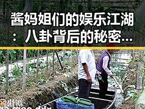 酱妈姐们的娱乐江湖：八卦背后的秘密与影响力