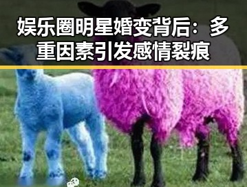 娱乐圈明星婚变背后：多重因素引发感情裂痕